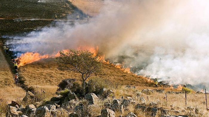 Incendi in Sardegna, distrutte aziende agricole e agrumeti