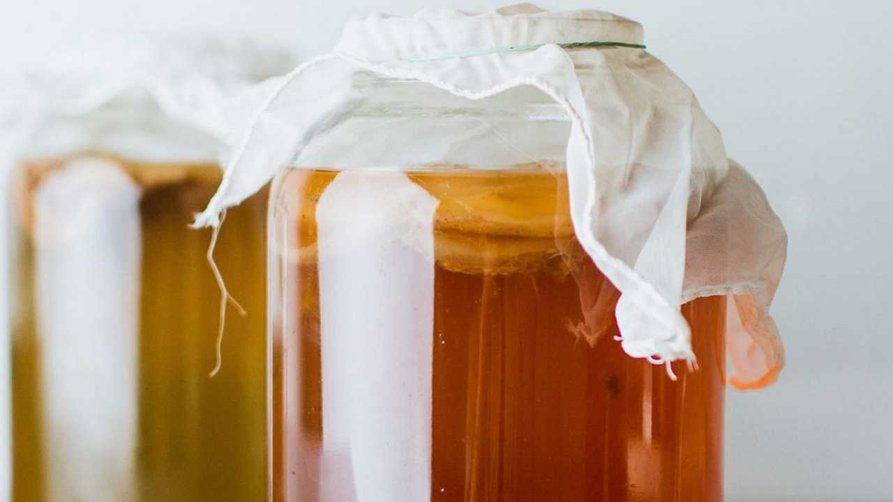 La kombucha può aiutare chi soffre di diabete, rivela uno studio