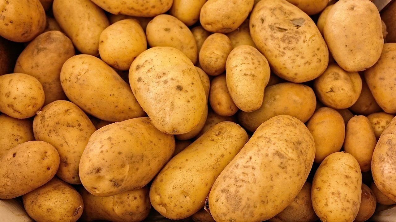 Le patate sono verdure? Il dilemma americano
