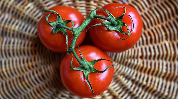 Epidemia di salmonella? E ora vietiamo i pomodori!