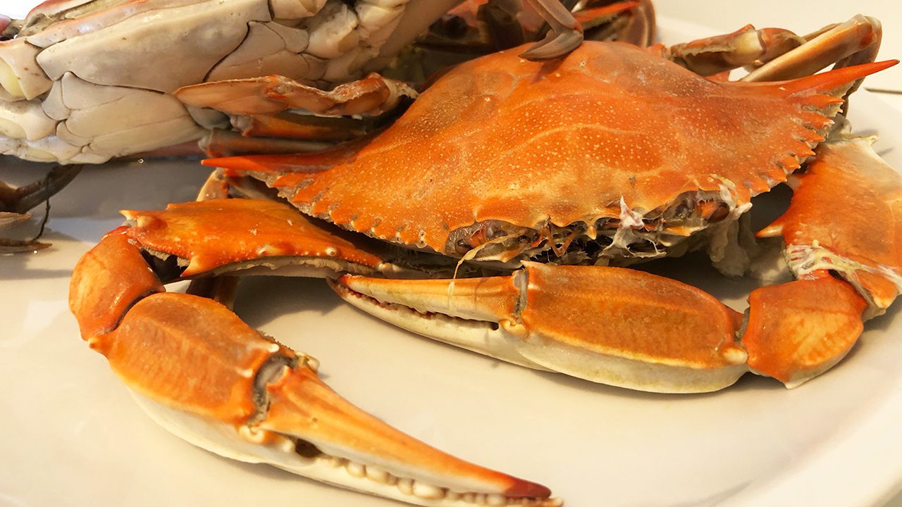granchio-blu-assaggio