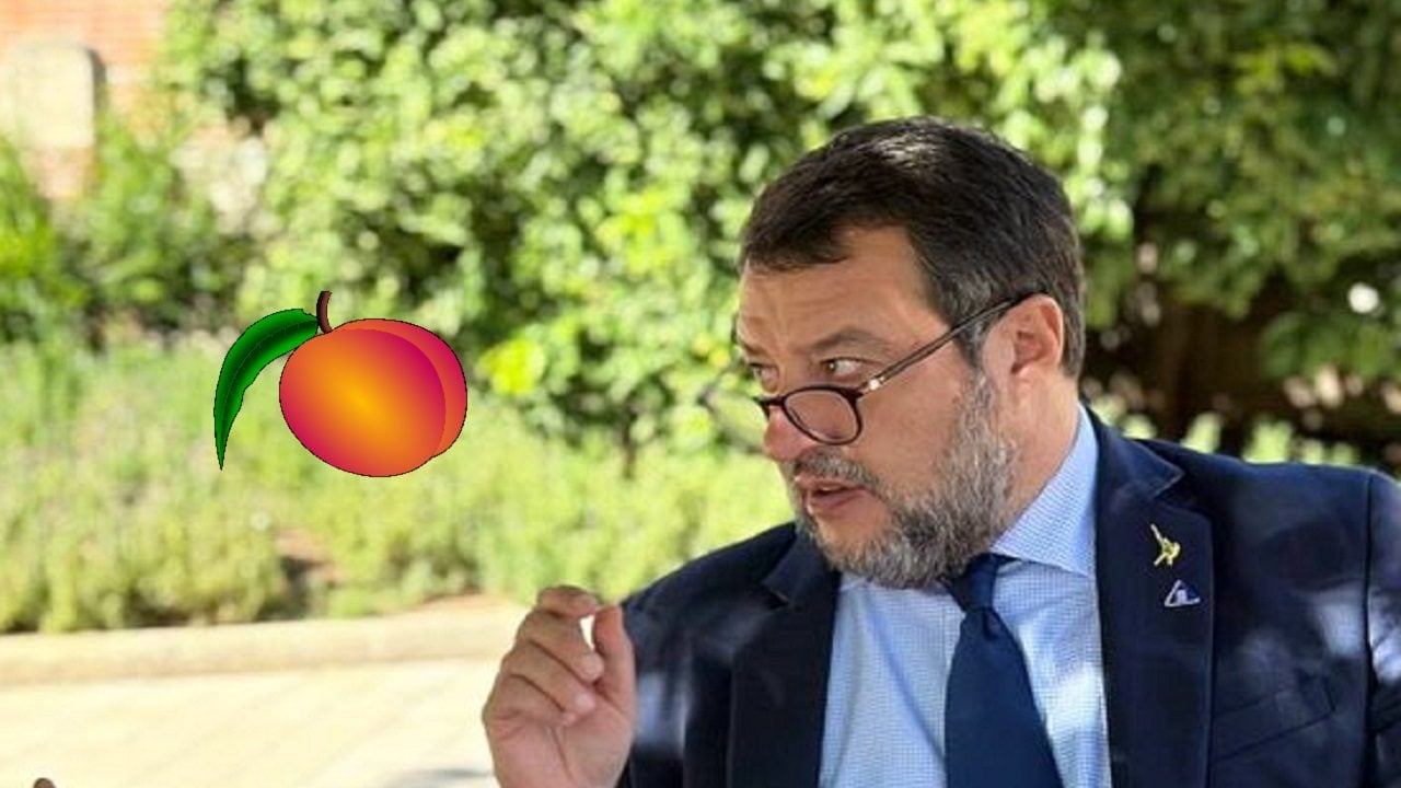 Tutto il Governo al lavoro sullo spot Esselunga: pure Matteo Salvini dice la sua