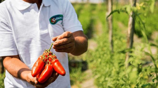 Il Mio San Marzano