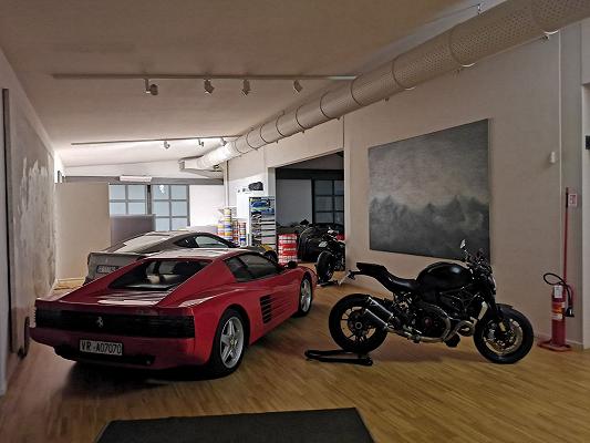 ambiente gatto verde bottura ferrari