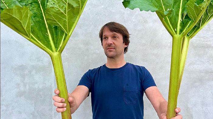 Noma Projects di René Redzepi presenta gli agnolotti (ma ne abbiamo visti di migliori)