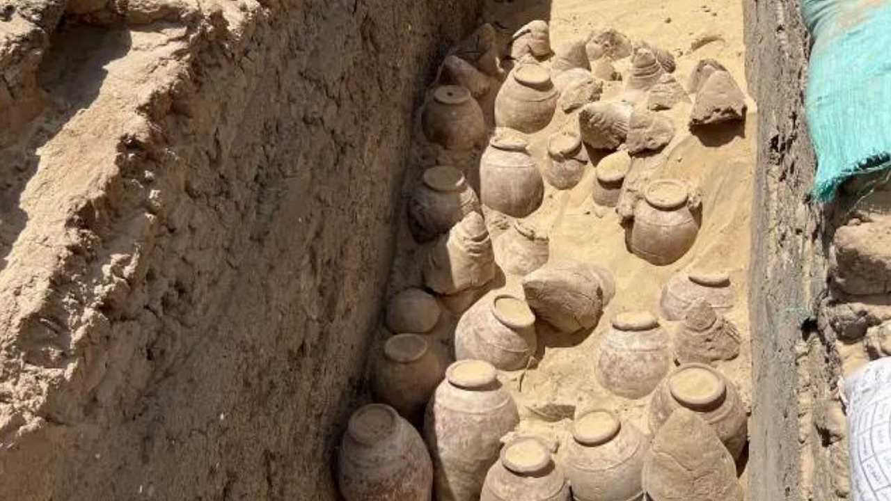 Rosso o bianco? Un vino di 5000 anni fa è stato rinvenuto nella tomba di una regina egiziana