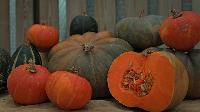zucca-halloween-riciclo