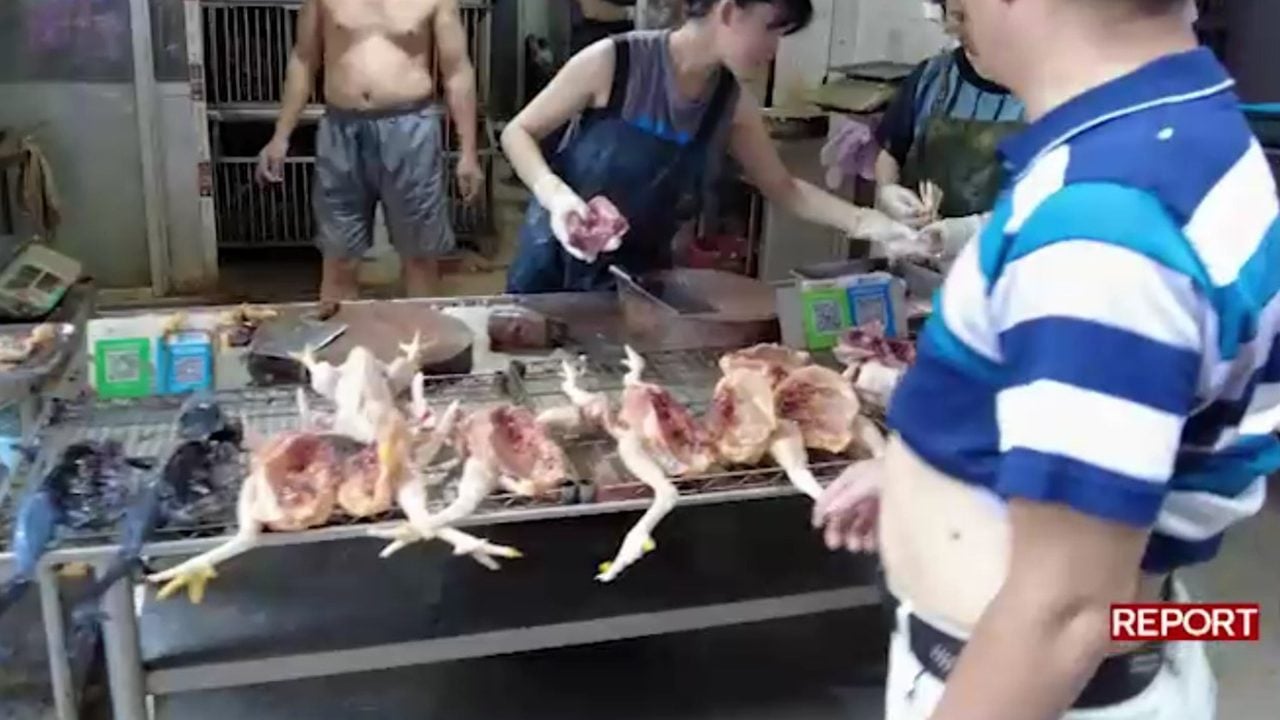 A Wuhan si macellano cani al mercato: Report conferma che dal Covid non abbiamo imparato nulla