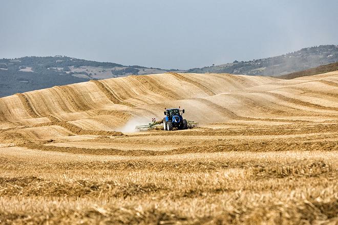 campo di grano italiano in Toscana