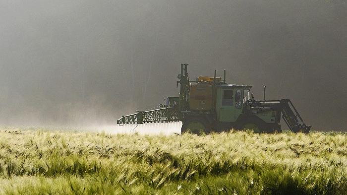 I pesticidi utilizzati in agricoltura causano un calo drammatico dei vostri spermatozoi: ecco come