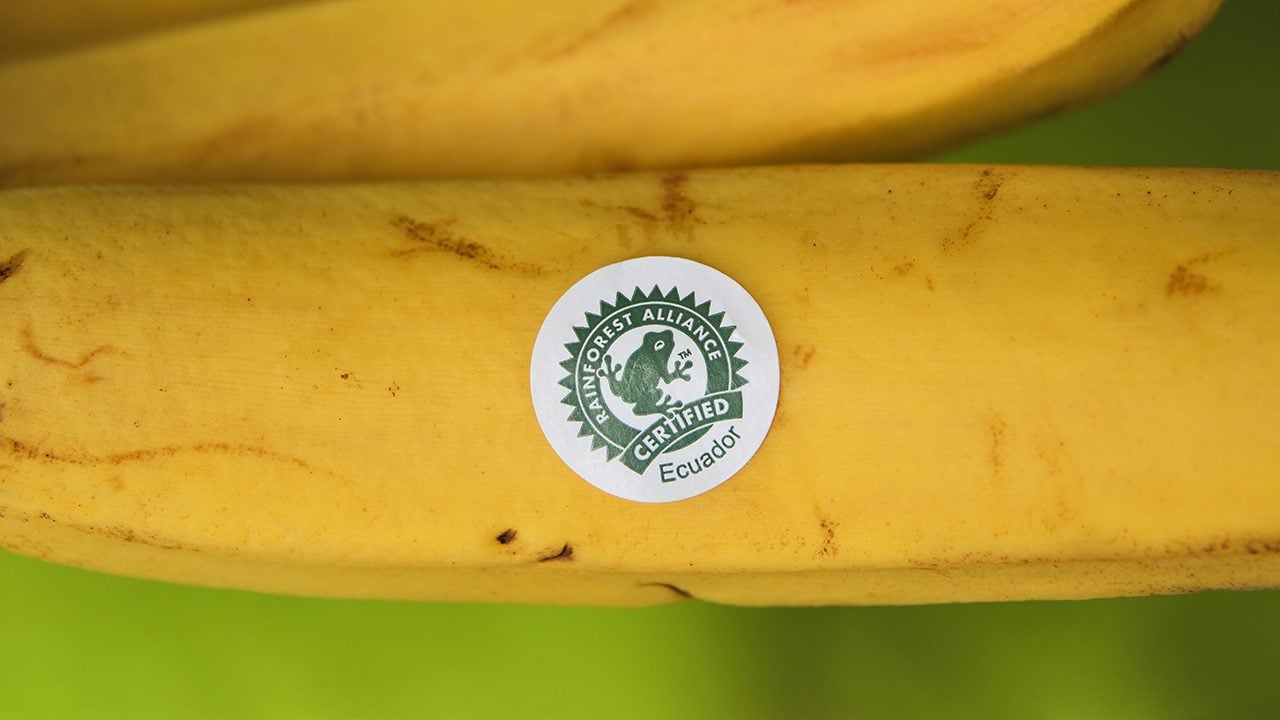 Supermercati: c’è una teoria complottista sul logo con la rana della Rainforest Alliance