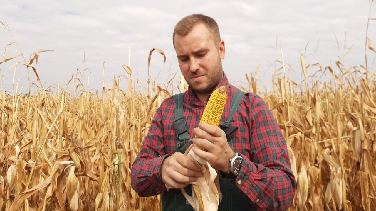 Firmato l’accordo tra il ministero dello Sport e quello dell’Agricoltura: arriva il servizio civile agricolo