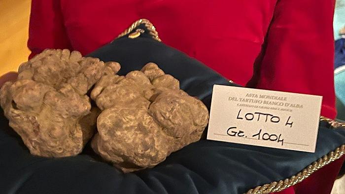 Battuto all’asta il Tartufo Bianco d’Alba più caro al mondo: se lo è aggiundicato Hong Kong