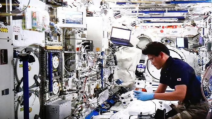 Che fine ha fatto il primo pomodoro spaziale? Non lo ha mangiato l’astronauta