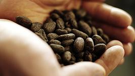 Caro il mio cacao: in Svizzera il prezzo è aumentato del 70%