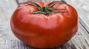 La storia dei pesticidi e dei fitofarmaci nelle passate di pomodoro dei supermercati