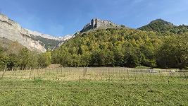 Arriva il primo Riesling di montagna in Piemonte