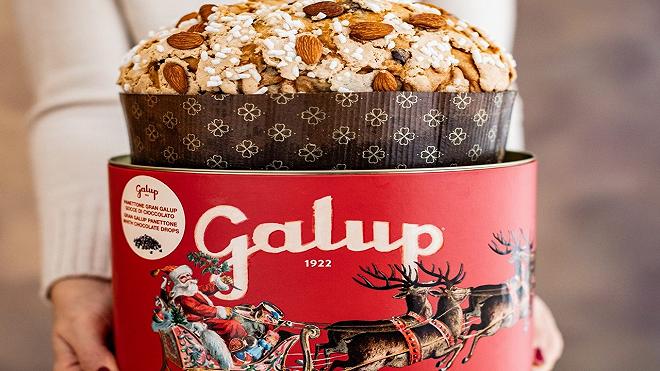 galup panettone