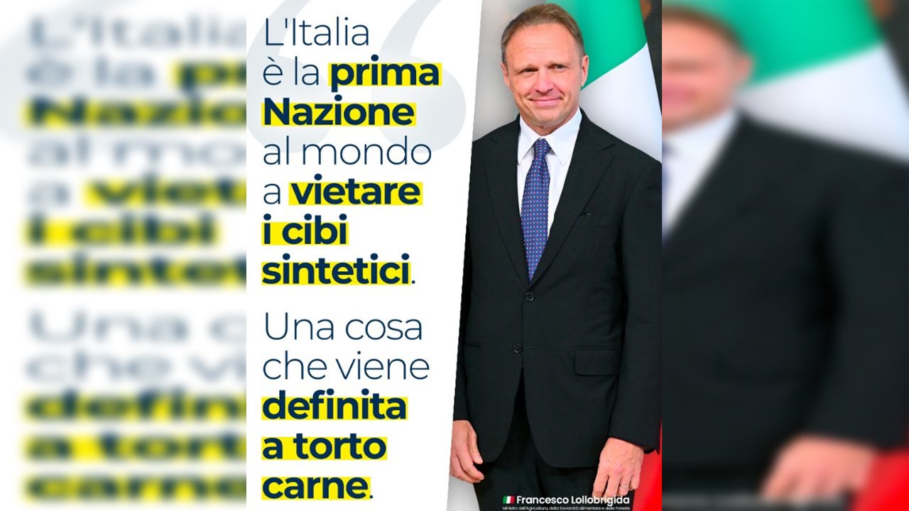 Per Francesco Lollobrigida la carne coltivata è “cibo falso”.