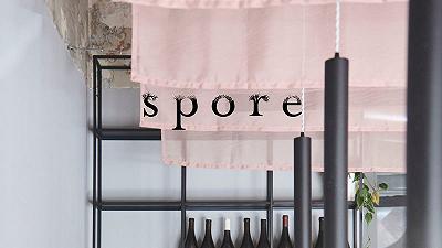 Immagine 4