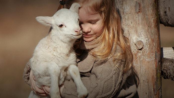 “Funziona perché è ottimista”: come è nato il Veganuary, dieci anni fa