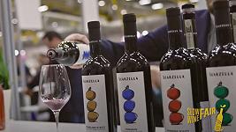 Slow Wine Fair: a Bologna, dal 25 al 27 febbraio, 5 mila etichette “buone, pulite e giuste”