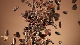 SottoFava, il primo festival dedicato al cioccolato bean to bar italiano