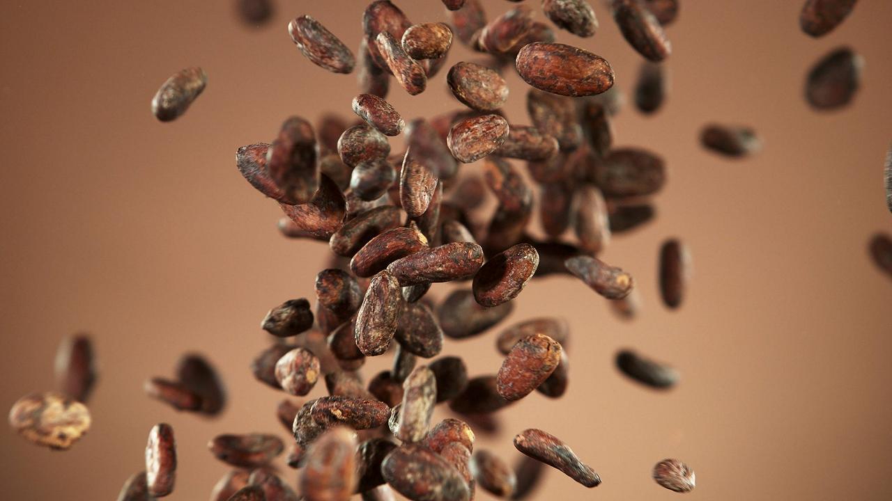 Cacao of Excellence: il mondo del cioccolato vive una rivoluzione