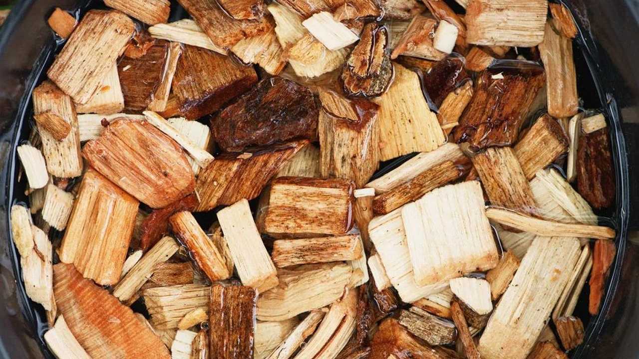 Creare la carne dal legno: l’idea rivoluzionaria di un progetto di ricerca