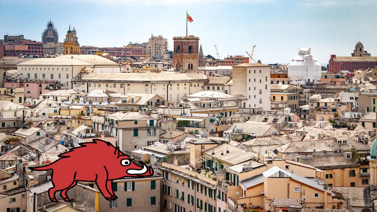 La peste suina africana arriva nel centro di Genova