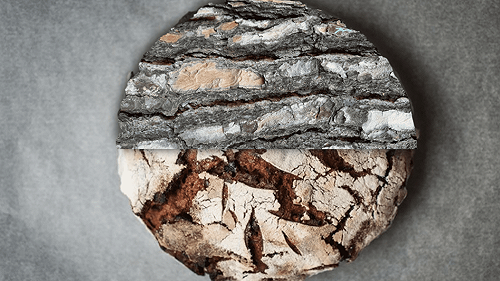 Biennale Arte di Venezia 2024: il pane si fa performance