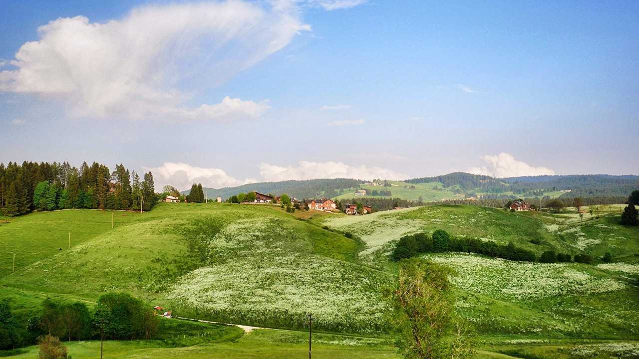 I pascoli montani dell’Altopiano di Asiago sono biologici: cosa significa