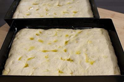 Fine lievitazione