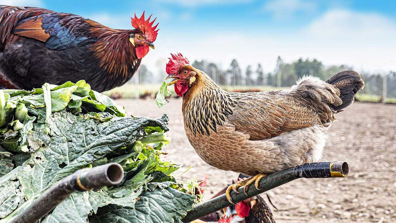 Cinque segreti per comunicare bene il cibo (che spesso le aziende non seguono) secondo Agricola Multimedia