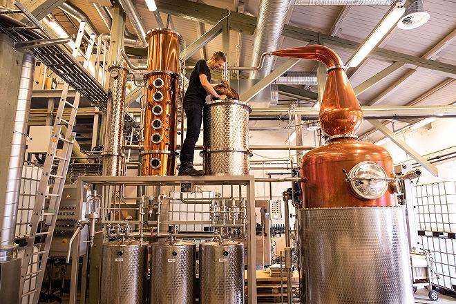 distilleria gin principessa norvegia