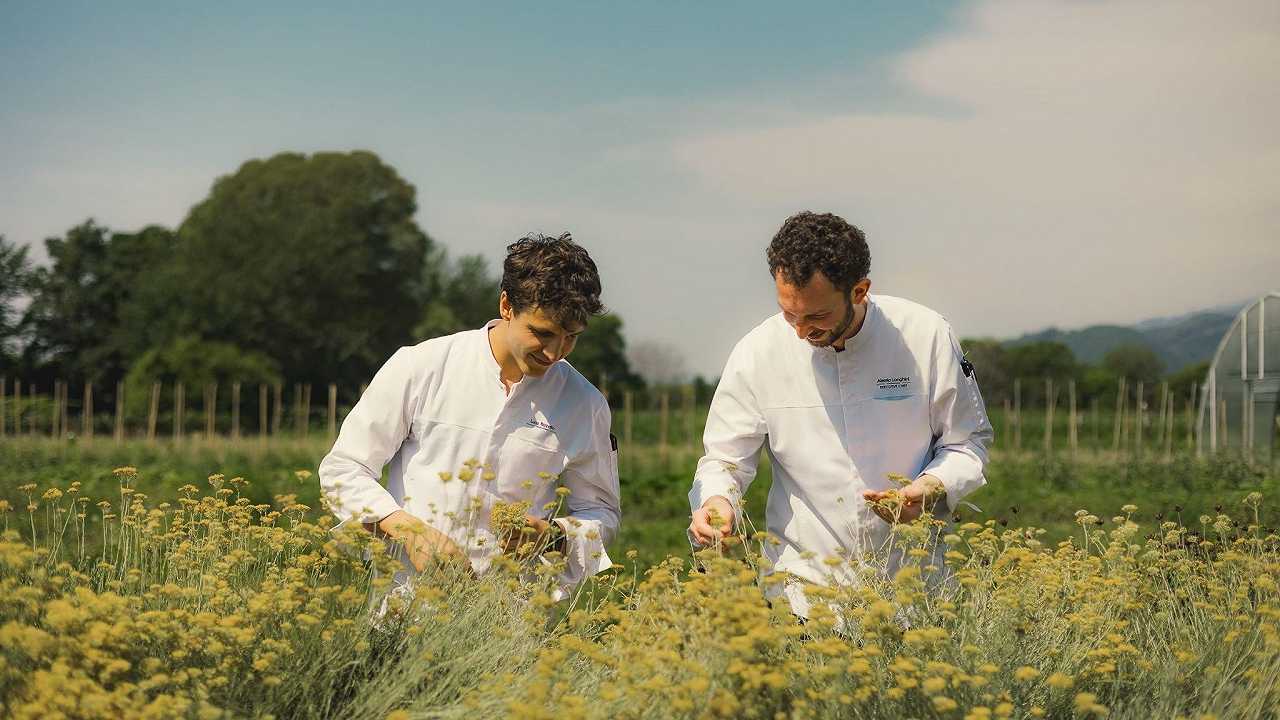 Com’è Ca’ Apollonio Heritage, il primo ristorante sostenibile del Veneto