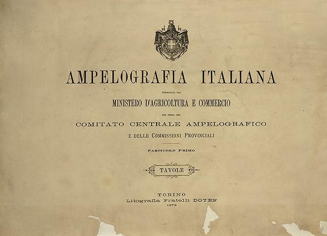 Ampelografia italiana 1879_Frontespizio