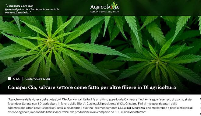 cia-si-oppone-a-decreto-anti-cannabis