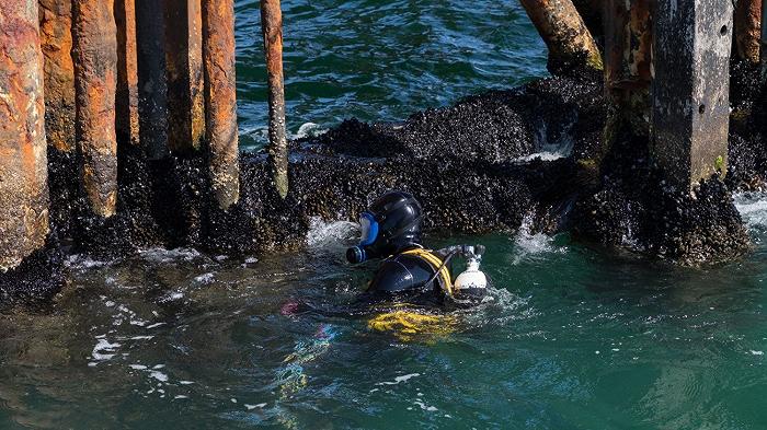 Eni vuole convincerci che le piattaforme in mare sono un bene per le cozze