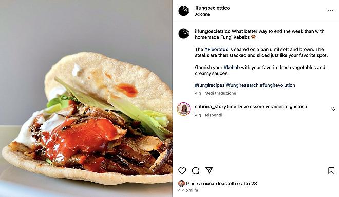 il-fungo-eclettico-instagram