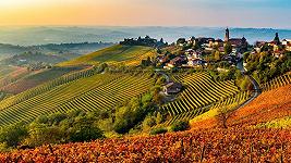 Il caporalato anche nei vigneti delle ricche Langhe: il video che lo dimostra