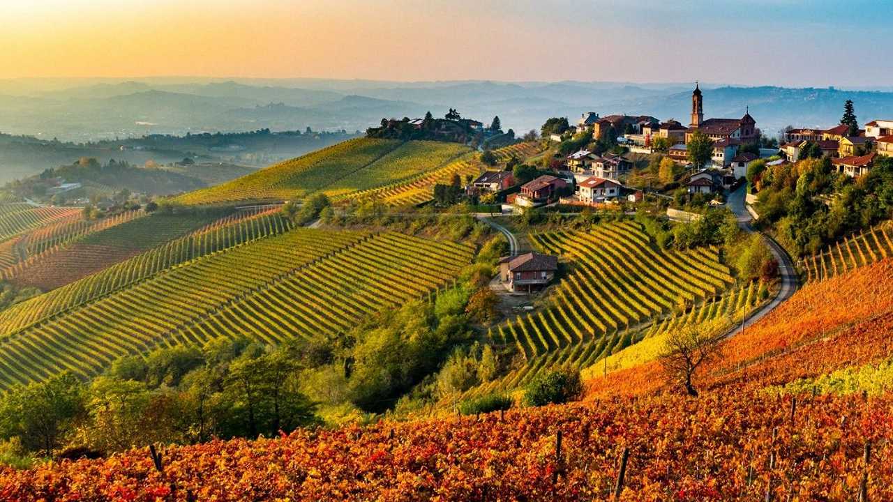 Il caporalato anche nei vigneti delle ricche Langhe: il video che lo dimostra