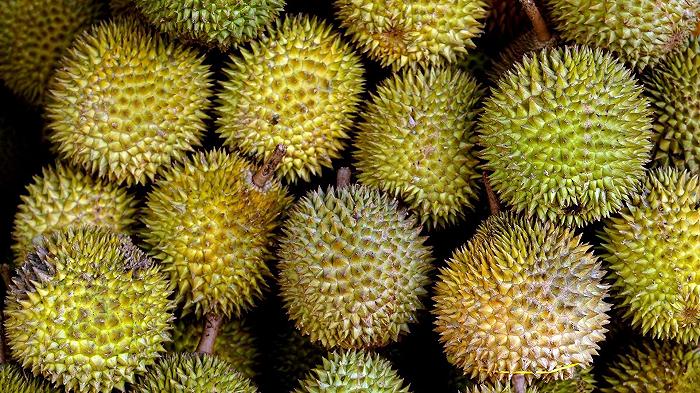 Cosa c’entra il Durian, il frutto più puzzolente del mondo, con l’aumento del prezzo del caffè?