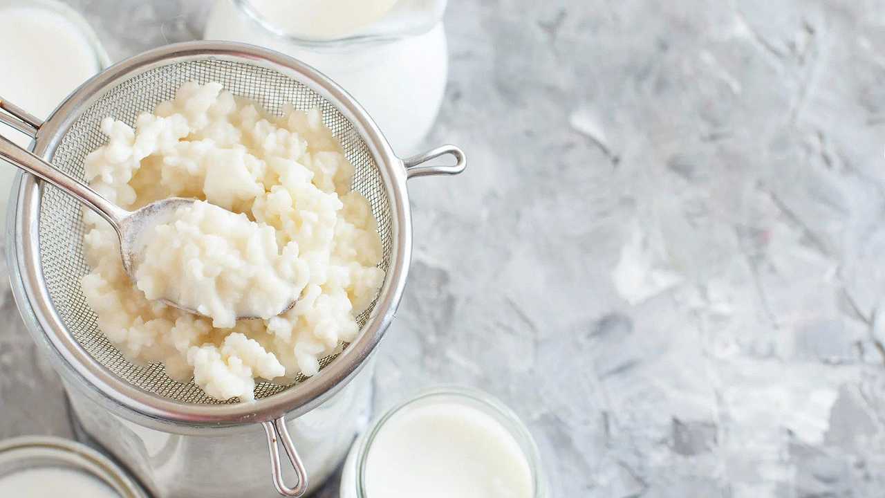 Trovato il formaggio più antico del mondo: perché lo spalmavano sui defunti?