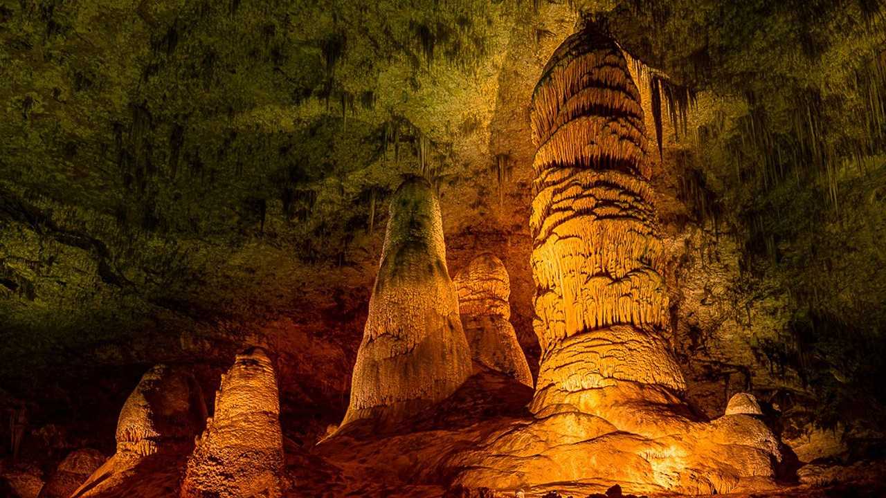 Come un sacchetto di patatine ha cambiato per sempre l’ecosistema di un parco nazionale