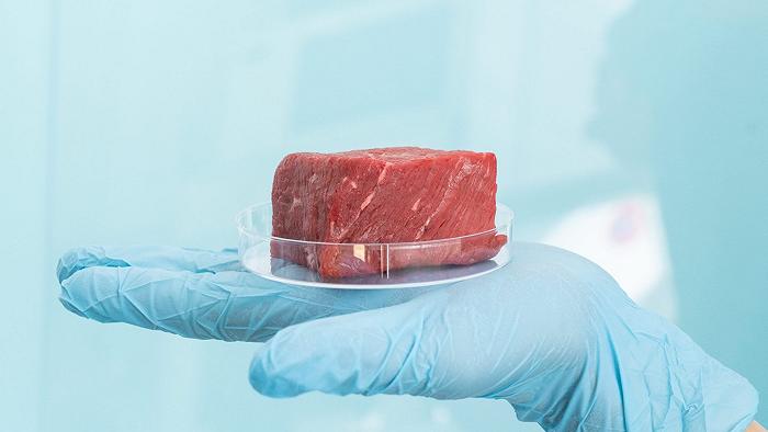 Per l’Università di Torino la carne coltivata s’ha da fare, con un crowdfunding naturalmente