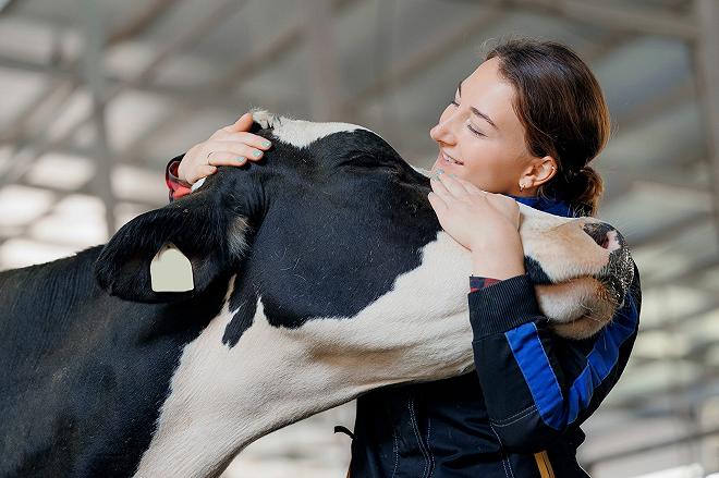 donna abbraccia una mucca