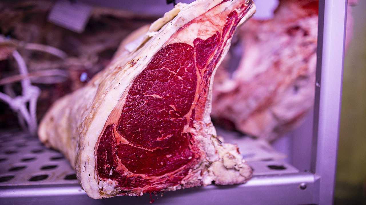 La razza sardo modicana: com’è la carne plasmata dal Montiferru