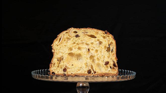 Ciacco panettone 2024