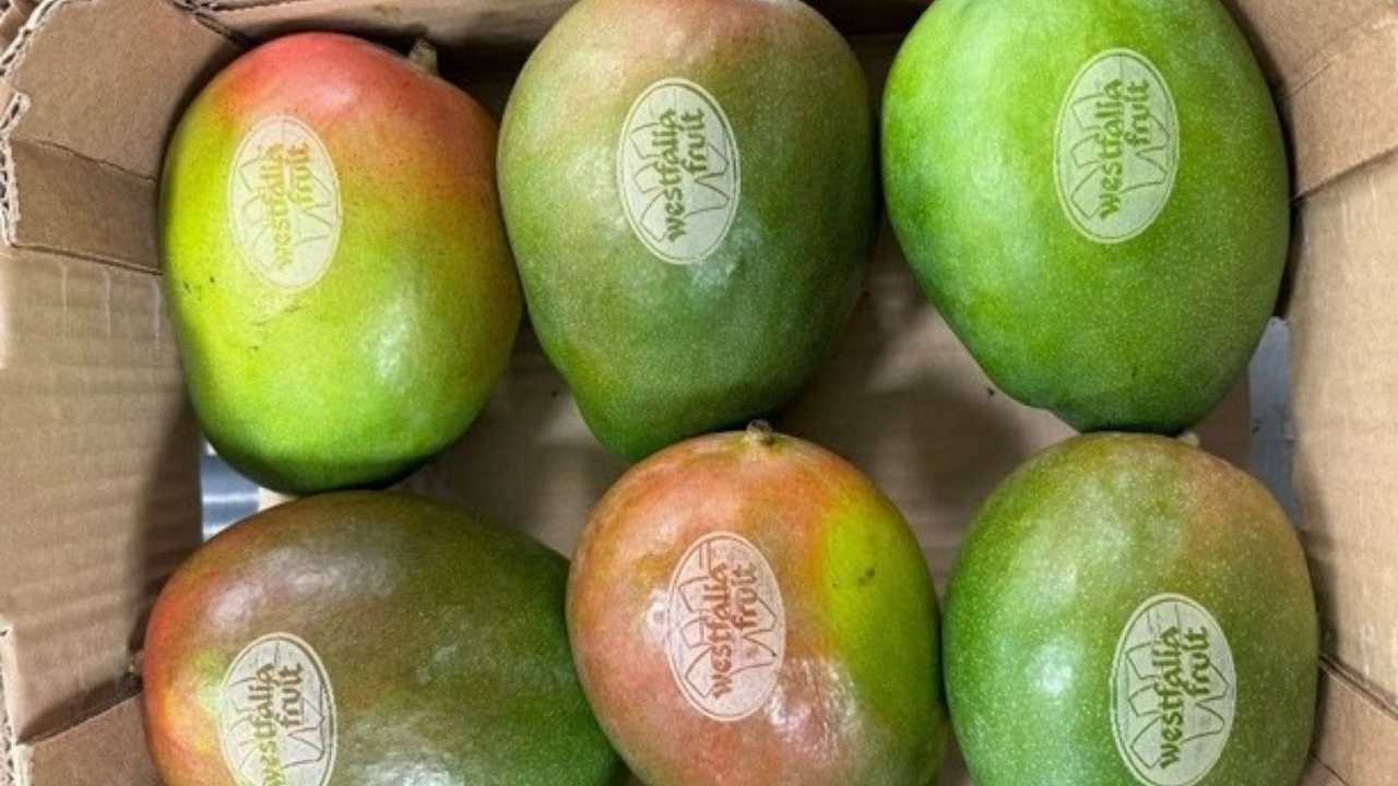 Arriva la frutta tatuata: salveremo così il Pianeta?